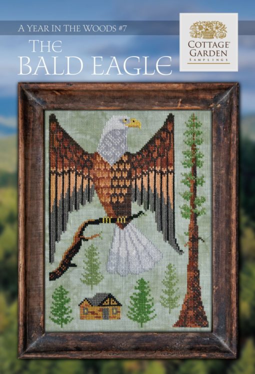 The Bald Eagle ~ A Year In The Woods